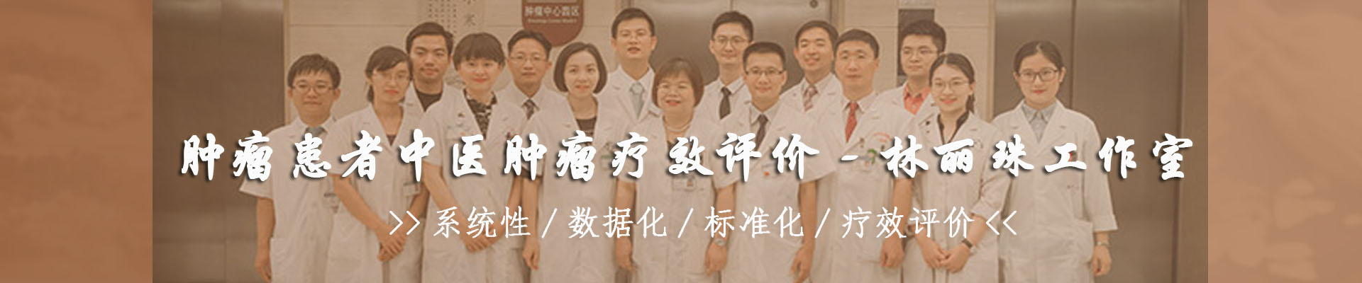 林丽珠专家团队